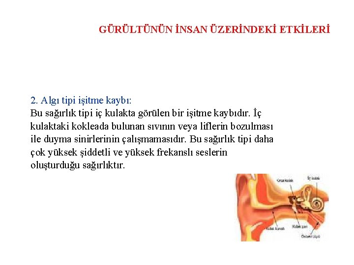 GÜRÜLTÜNÜN İNSAN ÜZERİNDEKİ ETKİLERİ 2. Algı tipi işitme kaybı: Bu sağırlık tipi iç kulakta