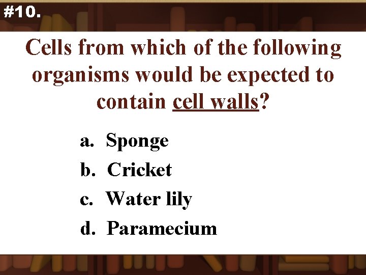 #10. Cells from which of the following organisms would be expected to contain cell