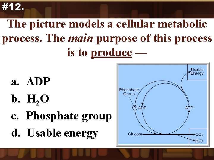 #12. The picture models a cellular metabolic process. The main purpose of this process