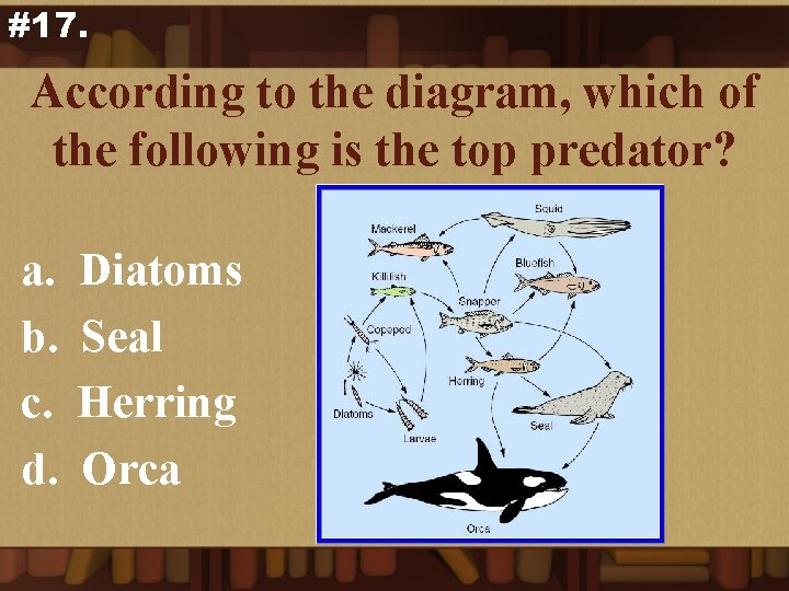 #17. According to the diagram, which of the following is the top predator? a.
