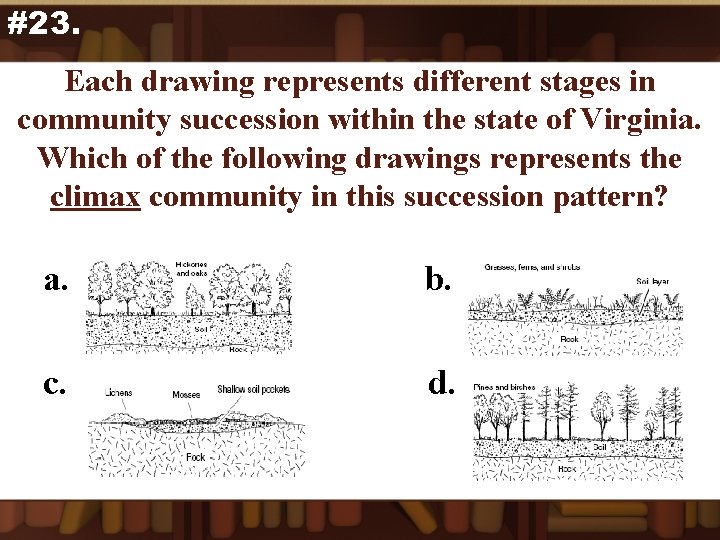 #23. Each drawing represents different stages in community succession within the state of Virginia.