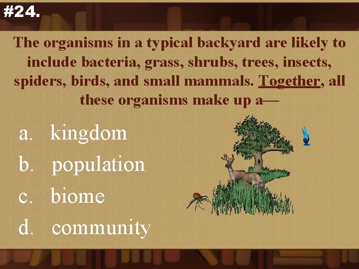 #24. The organisms in a typical backyard are likely to include bacteria, grass, shrubs,