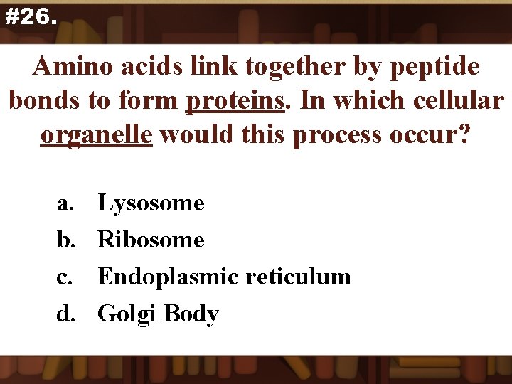 #26. Amino acids link together by peptide bonds to form proteins. In which cellular