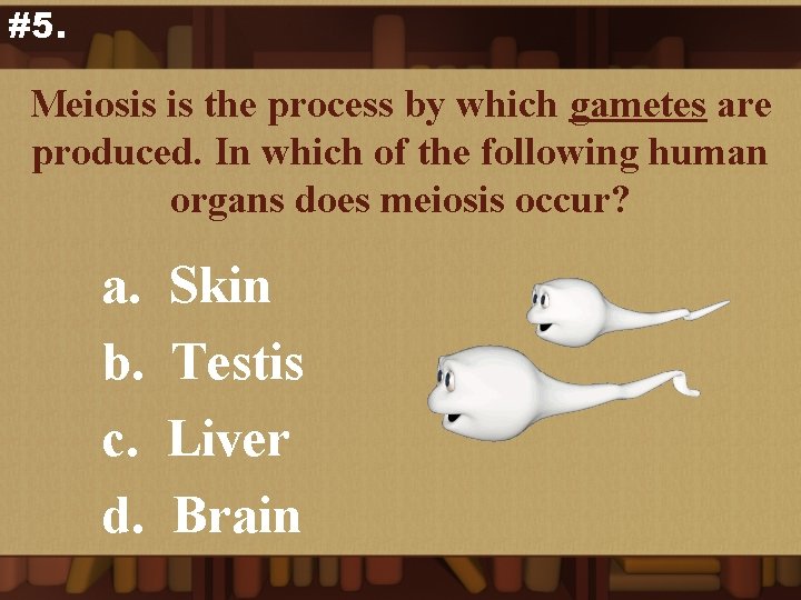 #5. Meiosis is the process by which gametes are produced. In which of the