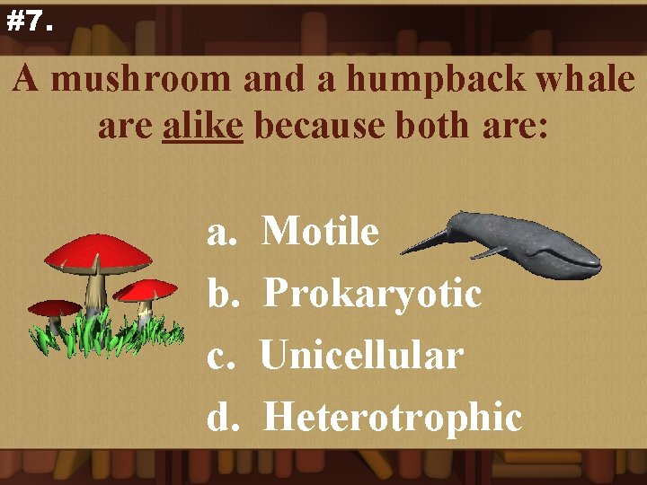 #7. A mushroom and a humpback whale are alike because both are: a. b.