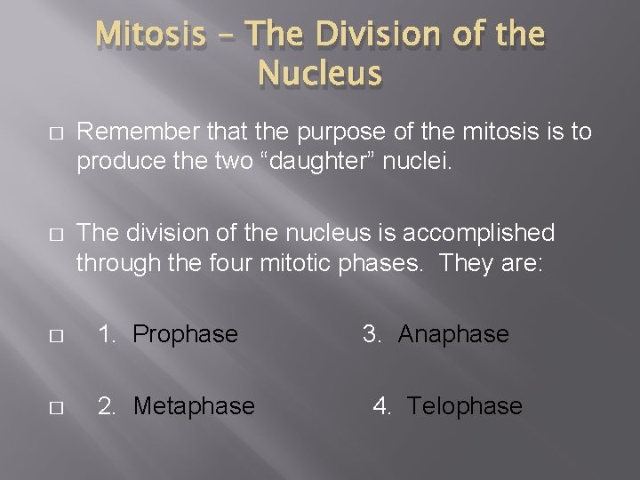 Mitosis – The Division of the Nucleus � Remember that the purpose of the