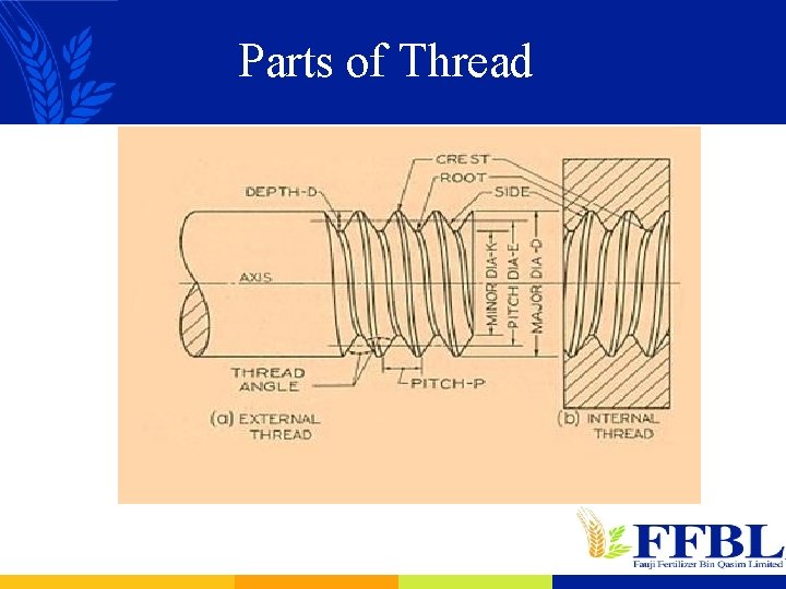 Parts of Thread 