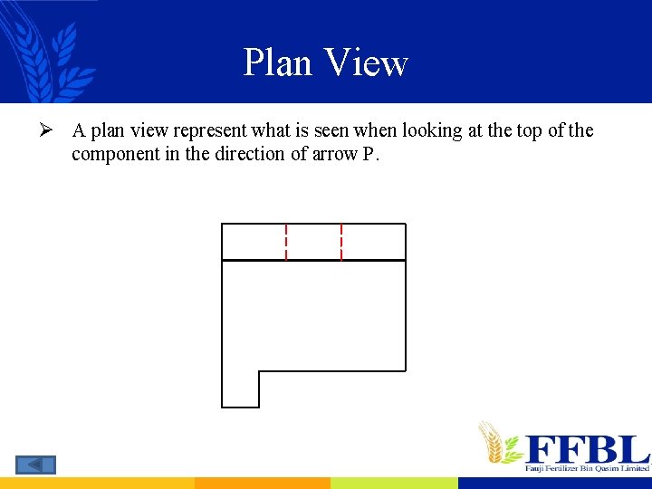 Plan View Ø A plan view represent what is seen when looking at the