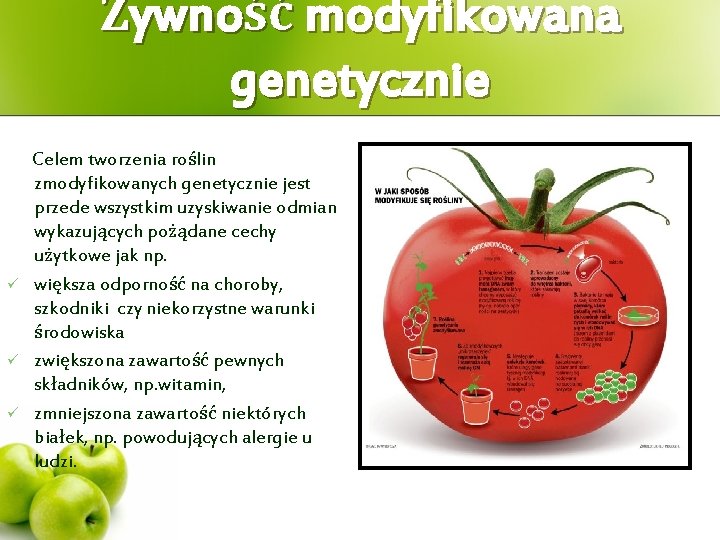 Żywność modyfikowana genetycznie ü ü ü Celem tworzenia roślin zmodyfikowanych genetycznie jest przede wszystkim