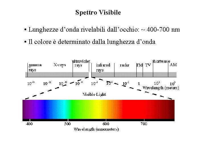 Spettro Visibile • Lunghezze d’onda rivelabili dall’occhio: ~ 400 -700 nm • Il colore