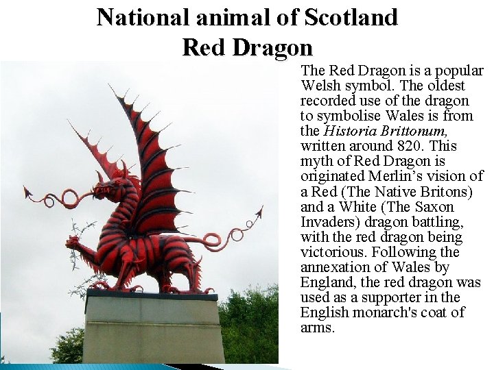 National animal of Scotland Red Dragon The Red Dragon is a popular Welsh symbol. National animal of Scotland Red Dragon The Red Dragon is a popular Welsh symbol.