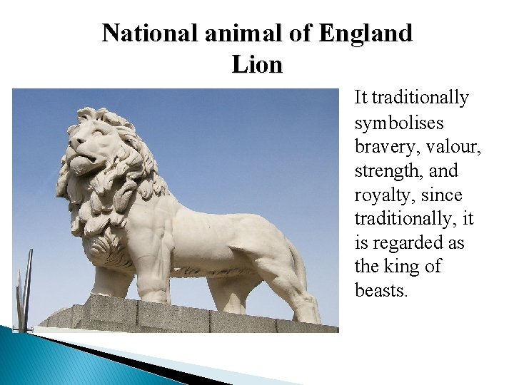 National animal of England Lion It traditionally symbolises bravery, valour, strength, and royalty, since National animal of England Lion It traditionally symbolises bravery, valour, strength, and royalty, since