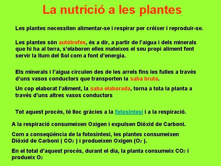 La nutrició a les plantes Les plantes necessiten alimentar-se i respirar per créixer i