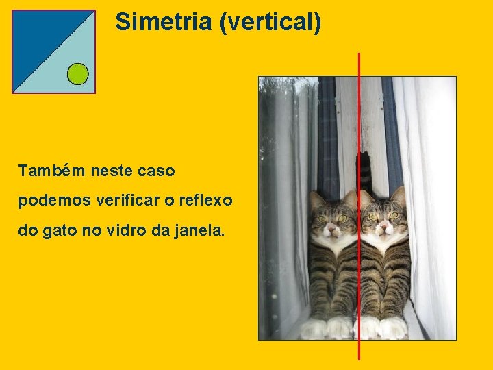 Simetria (vertical) Também neste caso podemos verificar o reflexo do gato no vidro da