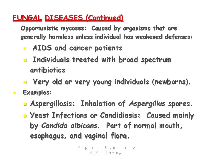 FUNGAL DISEASES (Continued) Opportunistic mycoses: Caused by organisms that are generally harmless unless individual