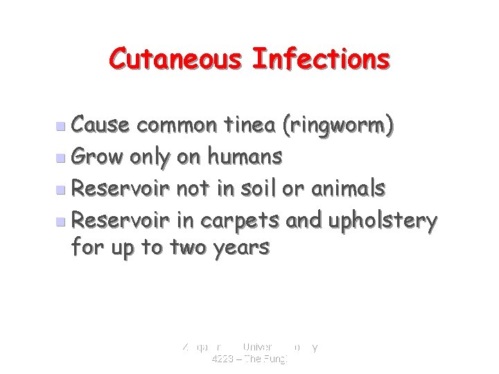 Cutaneous Infections n Cause common tinea (ringworm) n Grow only on humans n Reservoir