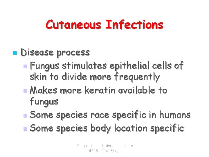 Cutaneous Infections n Disease process n Fungus stimulates epithelial cells of skin to divide