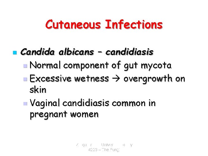 Cutaneous Infections n Candida albicans – candidiasis n Normal component of gut mycota n