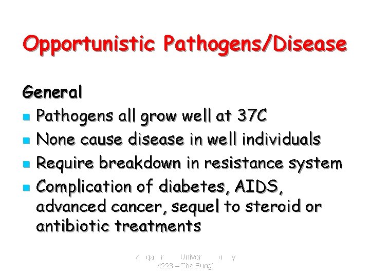 Opportunistic Pathogens/Disease General n Pathogens all grow well at 37 C n None cause