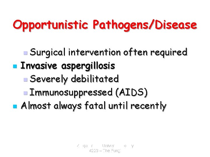 Opportunistic Pathogens/Disease n Surgical n n intervention often required Invasive aspergillosis n Severely debilitated