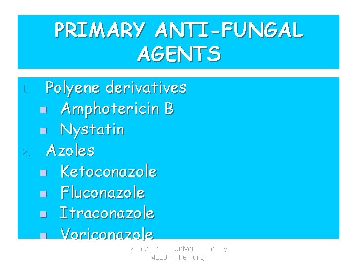 PRIMARY ANTI-FUNGAL AGENTS 1. 2. Polyene derivatives n Amphotericin B n Nystatin Azoles n