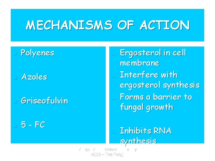 MECHANISMS OF ACTION n Polyenes n n Azoles n n Griseofulvin n n 5