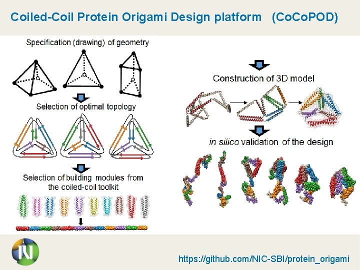 Coiled-Coil Protein Origami Design platform (Co. POD) https: //github. com/NIC-SBI/protein_origami 