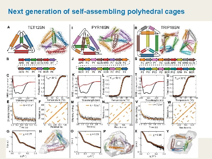 Next generation of self-assembling polyhedral cages 
