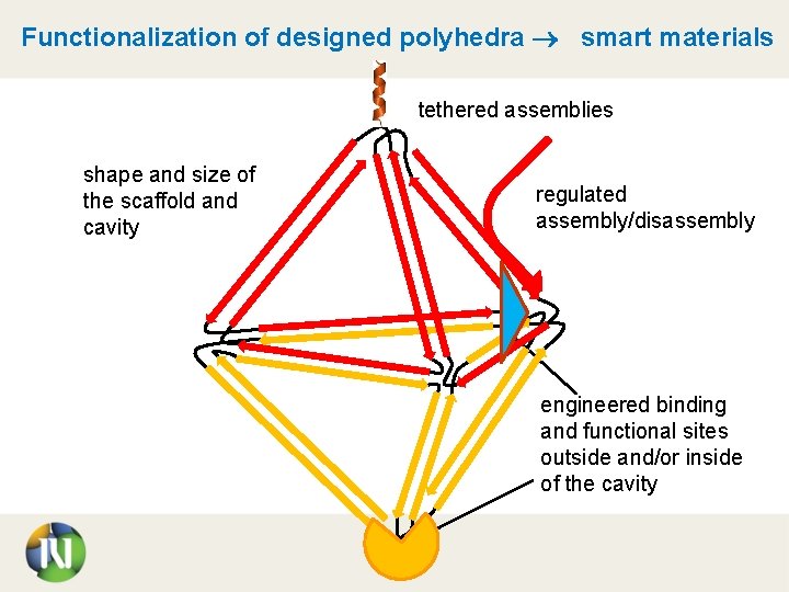 Functionalization of designed polyhedra smart materials tethered assemblies shape and size of the scaffold