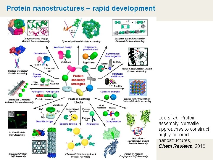 Protein nanostructures – rapid development Luo et al. , Protein assembly: versatile approaches to