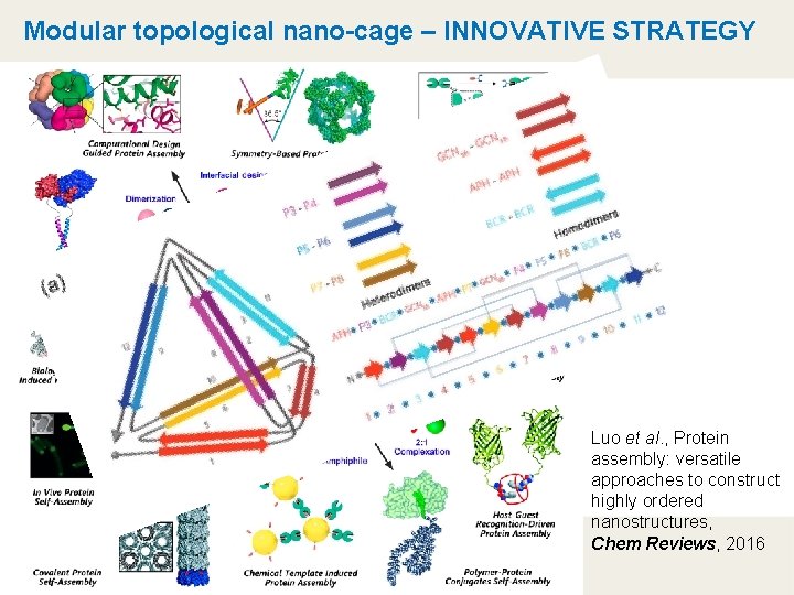 Modular topological nano-cage – INNOVATIVE STRATEGY Luo et al. , Protein assembly: versatile approaches