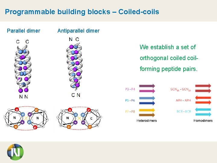Programmable building blocks – Coiled-coils Parallel dimer Antiparallel dimer We establish a set of