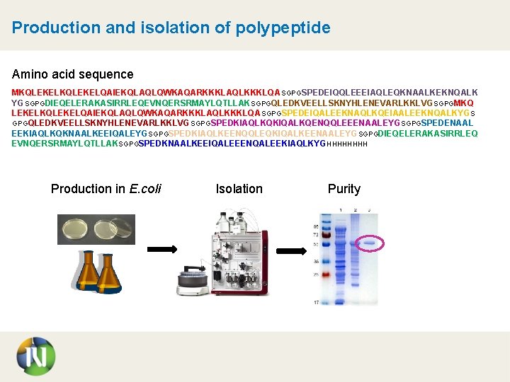Production and isolation of polypeptide Amino acid sequence MKQLEKELQAIEKQLAQLQWKAQARKKKLAQLKKKLQA SGPGSPEDEIQQLEEEIAQLEQKNAALKEKNQALK YGSGPGDIEQELERAKASIRRLEQEVNQERSRMAYLQTLLAKSGPGQLEDKVEELLSKNYHLENEVARLKKLVGSGPGMKQ LEKELKQLEKELQAIEKQLAQLQWKAQARKKKLAQLKKKLQASGPGSPEDEIQALEEKNAQLKQEIAALEEKNQALKYGS GPGQLEDKVEELLSKNYHLENEVARLKKLVGSGPGSPEDKIAQLKQKIQALKQENQQLEEENAALEYG SGPGSPEDENAAL