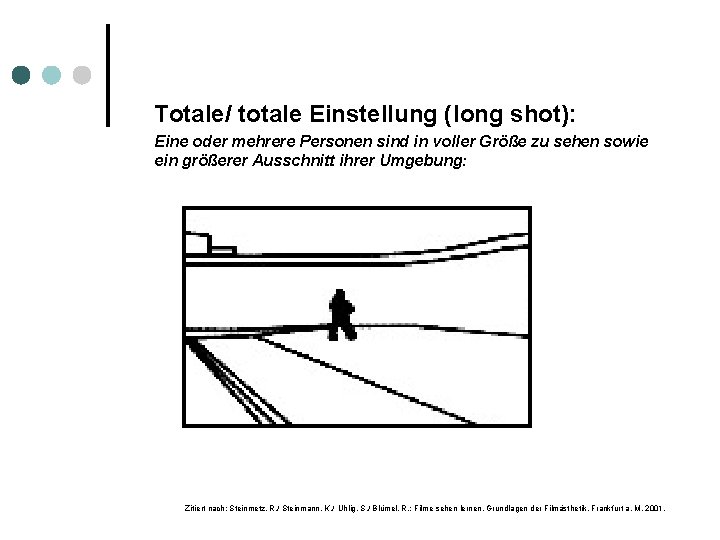 Totale/ totale Einstellung (long shot): Eine oder mehrere Personen sind in voller Größe zu