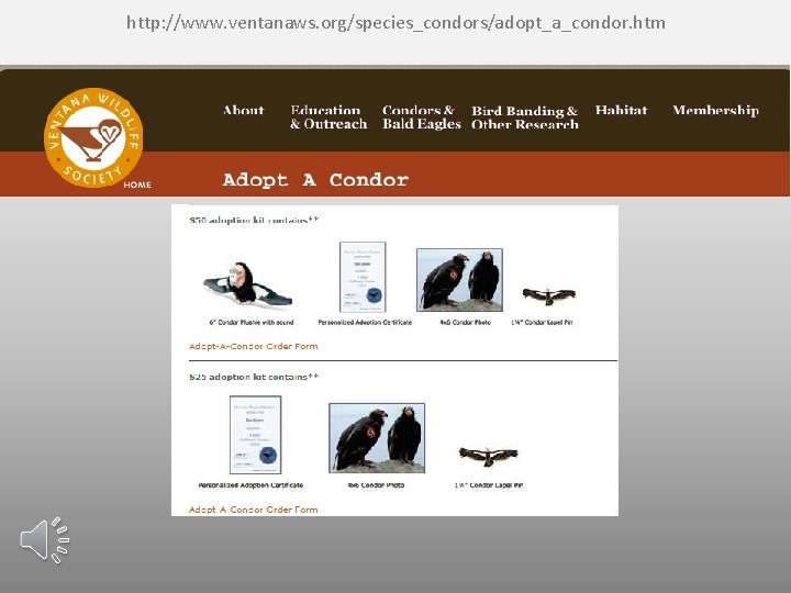 http: //www. ventanaws. org/species_condors/adopt_a_condor. htm 