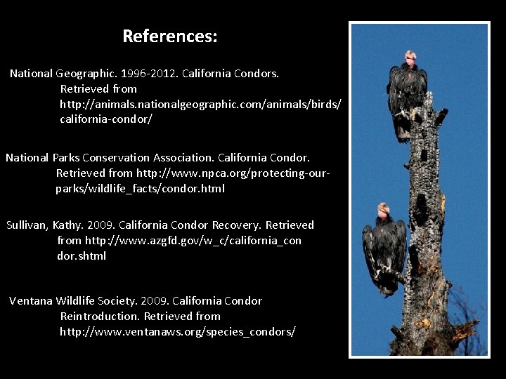References: National Geographic. 1996 -2012. California Condors. Retrieved from http: //animals. nationalgeographic. com/animals/birds/ california-condor/
