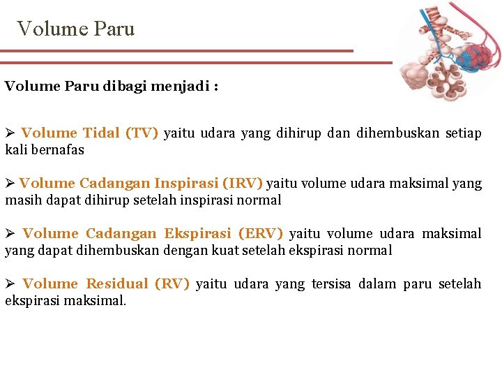 Volume Paru dibagi menjadi : Ø Volume Tidal (TV) yaitu udara yang dihirup dan