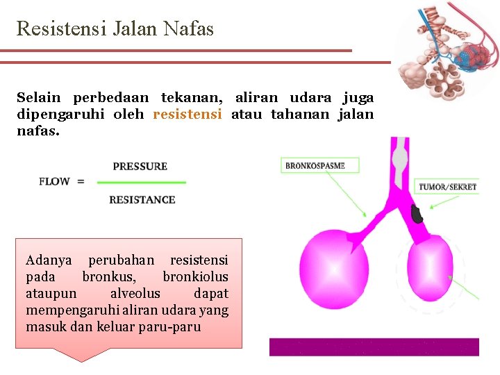 Resistensi Jalan Nafas Selain perbedaan tekanan, aliran udara juga dipengaruhi oleh resistensi atau tahanan