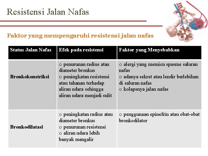 Resistensi Jalan Nafas Faktor yang mempengaruhi resistensi jalan nafas Status Jalan Nafas Bronkokonstriksi Bronkodilatasi