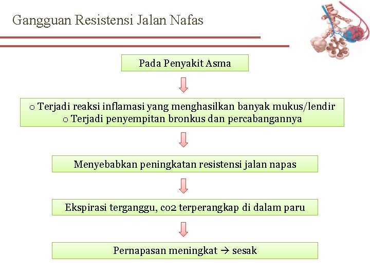 Gangguan Resistensi Jalan Nafas Pada Penyakit Asma o Terjadi reaksi inflamasi yang menghasilkan banyak