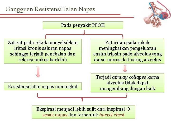 Gangguan Resistensi Jalan Napas Pada penyakit PPOK Zat-zat pada rokok menyebabkan iritasi kronis saluran