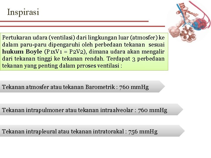 Inspirasi Pertukaran udara (ventilasi) dari lingkungan luar (atmosfer) ke dalam paru-paru dipengaruhi oleh perbedaan