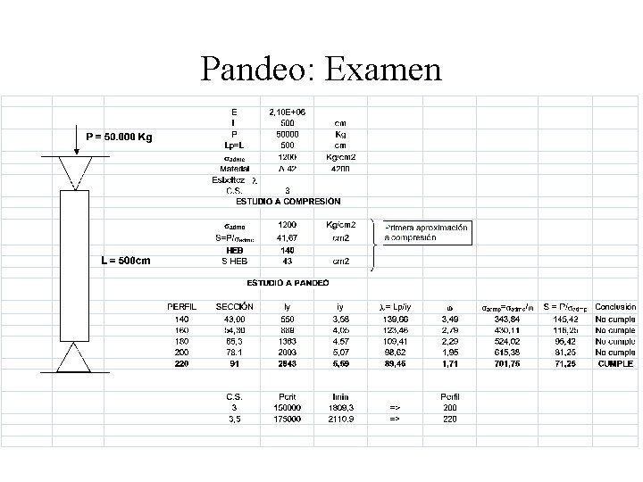 Pandeo: Examen 