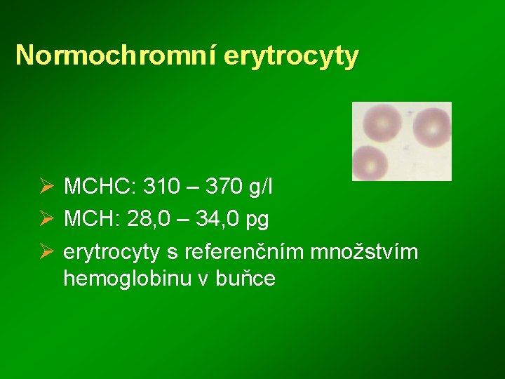 Normochromní erytrocyty Ø MCHC: 310 – 370 g/l Ø MCH: 28, 0 – 34,