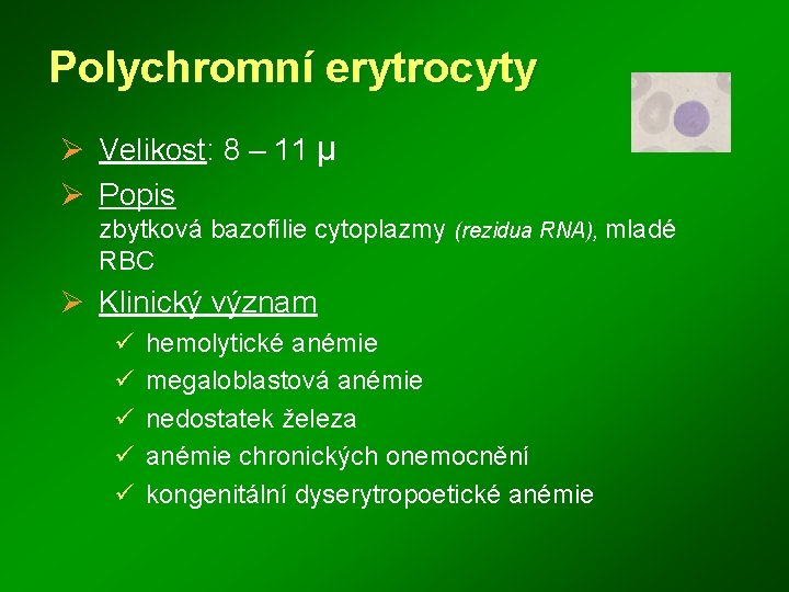 Polychromní erytrocyty Ø Velikost: 8 – 11 μ Ø Popis zbytková bazofílie cytoplazmy (rezidua