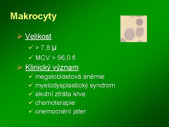 Makrocyty Ø Velikost ü > 7, 8 μ ü MCV > 96, 0 fl