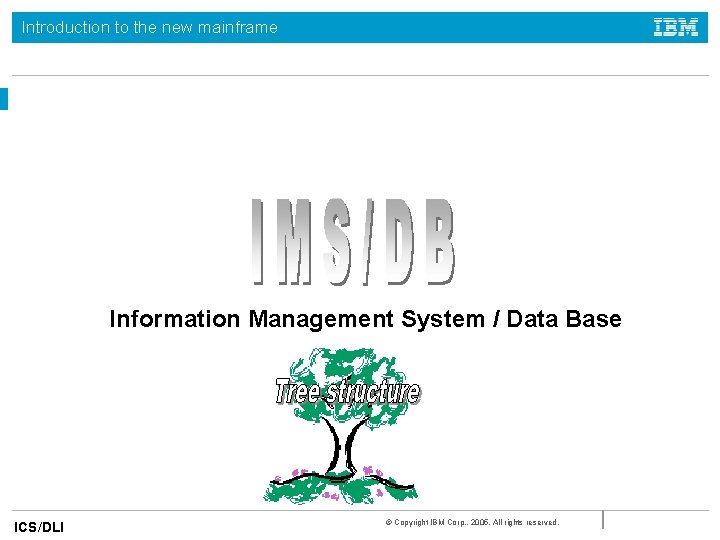 Introduction to the new mainframe Information Management System / Data Base ICS/DLI © Copyright Introduction to the new mainframe Information Management System / Data Base ICS/DLI © Copyright