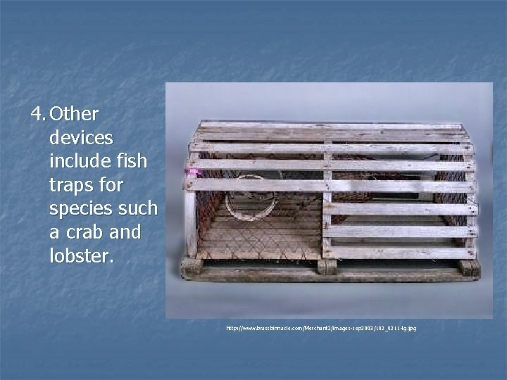 4. Other devices include fish traps for species such a crab and lobster. http: