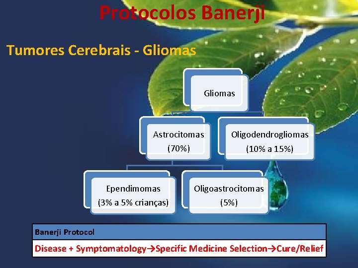 Protocolos Banerji Tumores Cerebrais - Gliomas Astrocitomas (70%) Ependimomas (3% a 5% crianças) Oligodendrogliomas