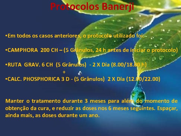 Protocolos Banerji • Em todos os casos anteriores, o protocolo utilizado foi: • CAMPHORA